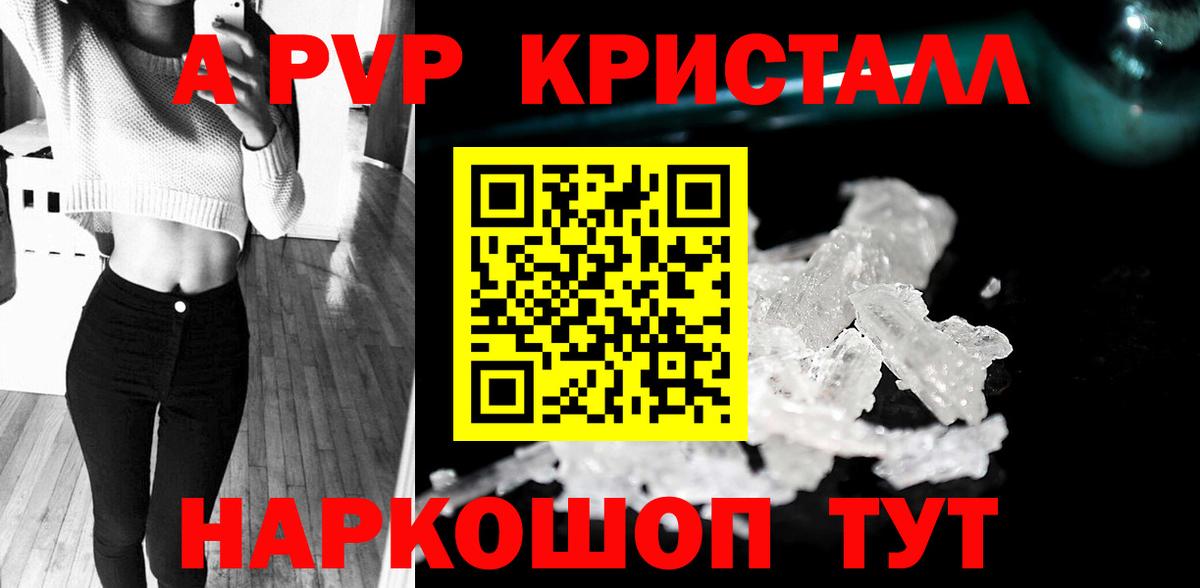 Можга  A PVP СК КРИС  A PVP  Вход с VPN  Alpha-PVP СК 