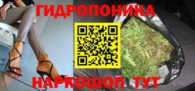 винт Будённовск