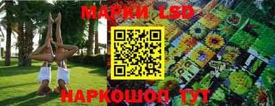 винт Будённовск