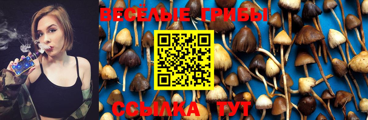 Галлюциногенные грибы GOLDEN TEACHER  Вход с VPN  Можга 